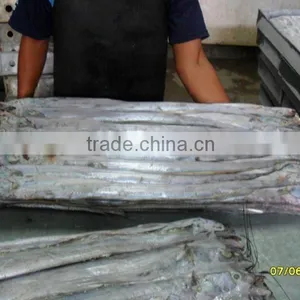 RIBBONFISH WHOLE ROUND thumbnail-1