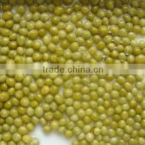 Canned Fresh Green Peas With Best Price for Sale thumbnail-4