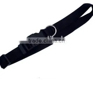 Ribbon Pet Collar and Leash thumbnail-3