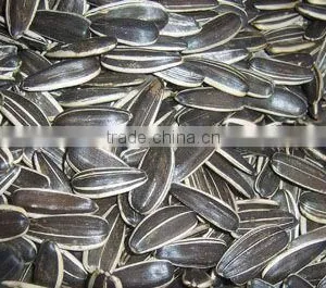 2016 New Crop Sunflower Seeds 3638 Market Price thumbnail-1
