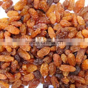 Hot Sale Zante Currant thumbnail-1