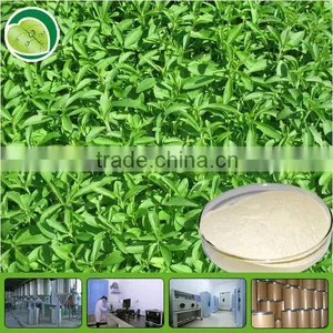 Natural RA98% Pure Stevia Extract thumbnail-1
