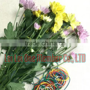 Rubber Band for Stationery - Money - Vegetables - Household thumbnail-5
