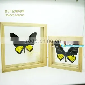 FOUSEN(011) Nature& Art Natural Real Dried Butterfly Unique Table Frame thumbnail-1