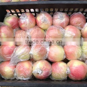 Fresh Apples thumbnail-6