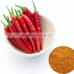 Natural Plant Extract Food and Beverage Additive Chillies Pepper Extract Powder thumbnail-1