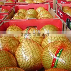 Honey Pomelo thumbnail-1
