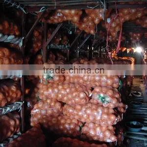 2015 Crop Fresh Red Onions for Sales With Market Price thumbnail-4