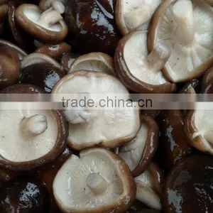 Deon Brand/shiitake in Drum thumbnail-1