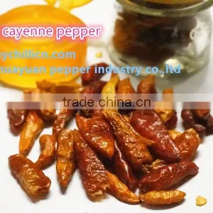 Cayenne Pepper thumbnail-3