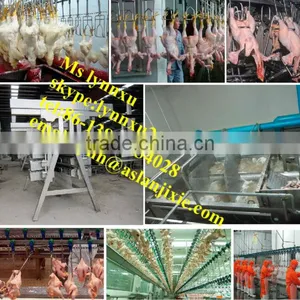 Poultry Quail Slaughting Machine Line /1000pieces/h Chicken Slaughter Machine thumbnail-1