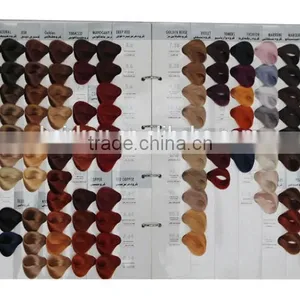 2016 Best Fashion Color Design Hair Color Chart thumbnail-2