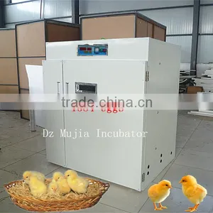 MJB-2 Model 1584pcs Egg Incubator Mujia Incubator for Sale Egg Incubator thumbnail-3