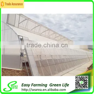 Multispan Tunnel Greenhouse for Flower thumbnail-4