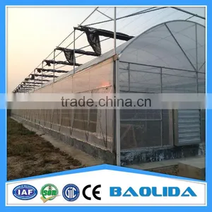 6m/8m/9/Arch Roof Greenhouse For Vegetables With Side Ventilation Covered By Plastic Film thumbnail-5