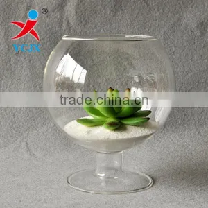Hand Blown Clear Glass Globe Terrarium Wholesale Decoration thumbnail-1