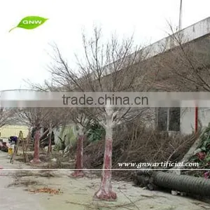 GNW WTR1102-3 Hot New Products for 2015 Dried Tree Decoration With Wooden Tree Branches thumbnail-1