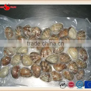 Vacuum -packed Short Necked Clam thumbnail-1