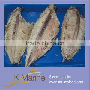 New Fresh Tuna Loin thumbnail-1