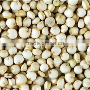 Supplier of White Quinoa Seed thumbnail-1