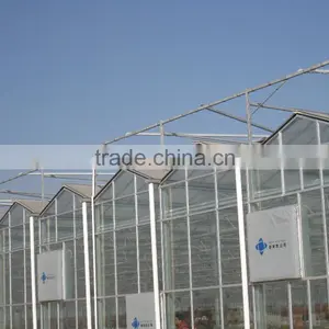 Agricultural Commercial Greenhouse thumbnail-4