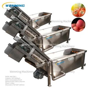 Surfing Type Fruits&Vegetables Washing Machine Connect With Juicer Machine Fruits Washer Juicer Machine thumbnail-4