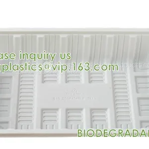 Disposable Corn Starch Plates, Biodegradable Corn Starch Food Container, Biobased Food Tray, Disposable Plastic Takeaway Meal Tray, Corn Starch Blister Packaging Tray, Blister Packaging thumbnail-2