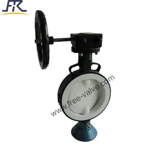 4889 Worm gear Operated PTFE Lined Butterfly Valve