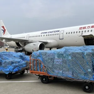 International Shipping Including Sea Freight, FCL/LCL Shipment, DDP, Air Delivery and Express Delivery Service thumbnail-4