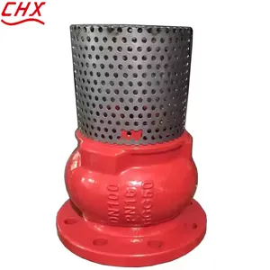 Ductile Iron Foot Valve PN16 GGG50 Cast Iron Flanged Stainless Steel Filter Strainer JIS ANSI DIN Bottom Foot Valve thumbnail-5