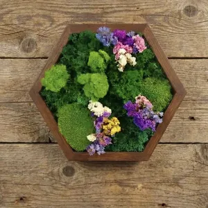OEM Sizes of Eternal Natural Live Luxury Moss Wall or Flooring Decoration for Office, Home and Public Sites thumbnail-1