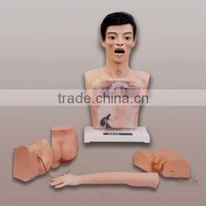 New Basic Model for Nursing thumbnail-1