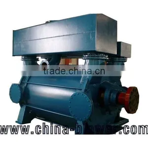 2BE3 400 Water Ring Vacuum Pump thumbnail-1