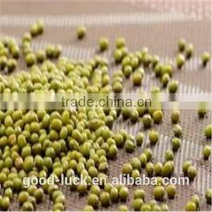 Green Mung Beans(2014 Crop) thumbnail-5