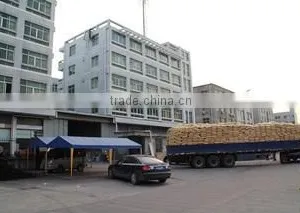 Wenling Blue Sky Plastic Shoes Co., Ltd. company overview - view 3 thumbnail