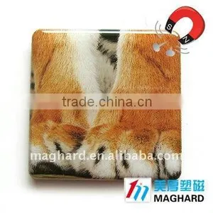 Animal Protection Tiger Paws Magnetic Epoxy Gift Promotional Item Personalized Fridge Magnet thumbnail-1