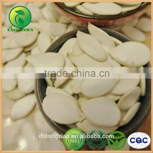 Benefit of Pumpkin Seeds thumbnail-1
