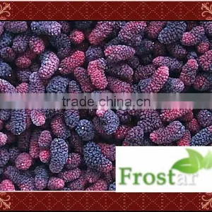 2013 New Frozen Mulberries thumbnail-1