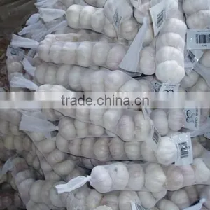 Fresh White Garlic thumbnail-3