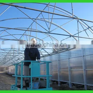Export to Japan Agriclutural Polycarbonate Greenhouse thumbnail-2