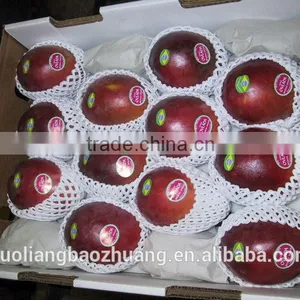 FDA Approved Food Grade Polythene Expanded Foam Plastic Socks For The Transportation Of Mangoes thumbnail-5