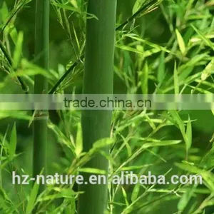 Bamboo Leaf Extract , Plant Extract thumbnail-1