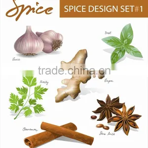 China Supplier of Spices thumbnail-3