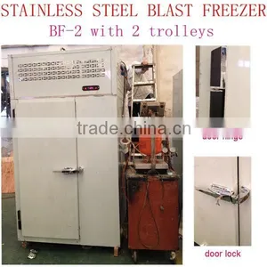 Stainless Steel Blast Freezer for Beef thumbnail-2