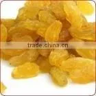Gold Raisin thumbnail-1