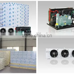 2016 New Design 9 Tons Cold Storage Room With Hinged Door for Seafood From Koller thumbnail-2