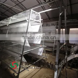 A-type Cage for Layer and Broiler thumbnail-1