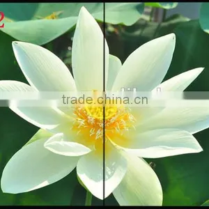 47 Inch 2X2 Led Video Wall on Sale thumbnail-1