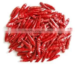 Chilly Wholesalers thumbnail-1
