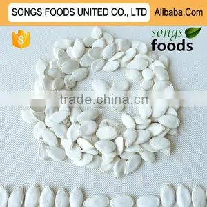 Fresh and Dried White Pumpkin Seeds Origin in China thumbnail-1